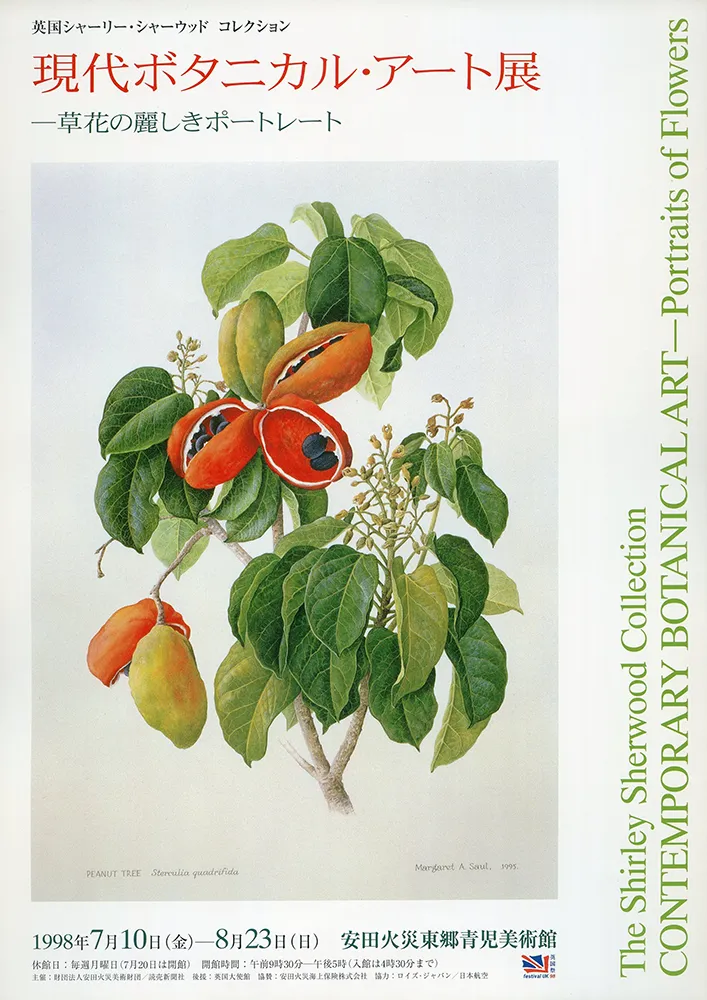 2005 - 1996 poster 50