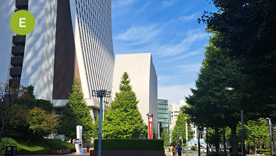 前方にSOMPO美術館が見えますので、横断歩道を渡り建物の方へ進んでください。