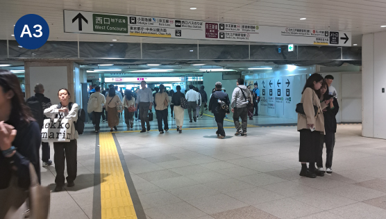 【JR新宿駅　西口からの場合】改札を出て左方向に進み「東京都庁・中央公園方面」方面に進みます。