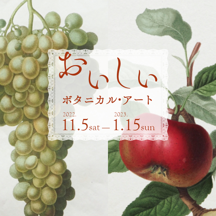 Botanical Arts and the Development of Delicious Food