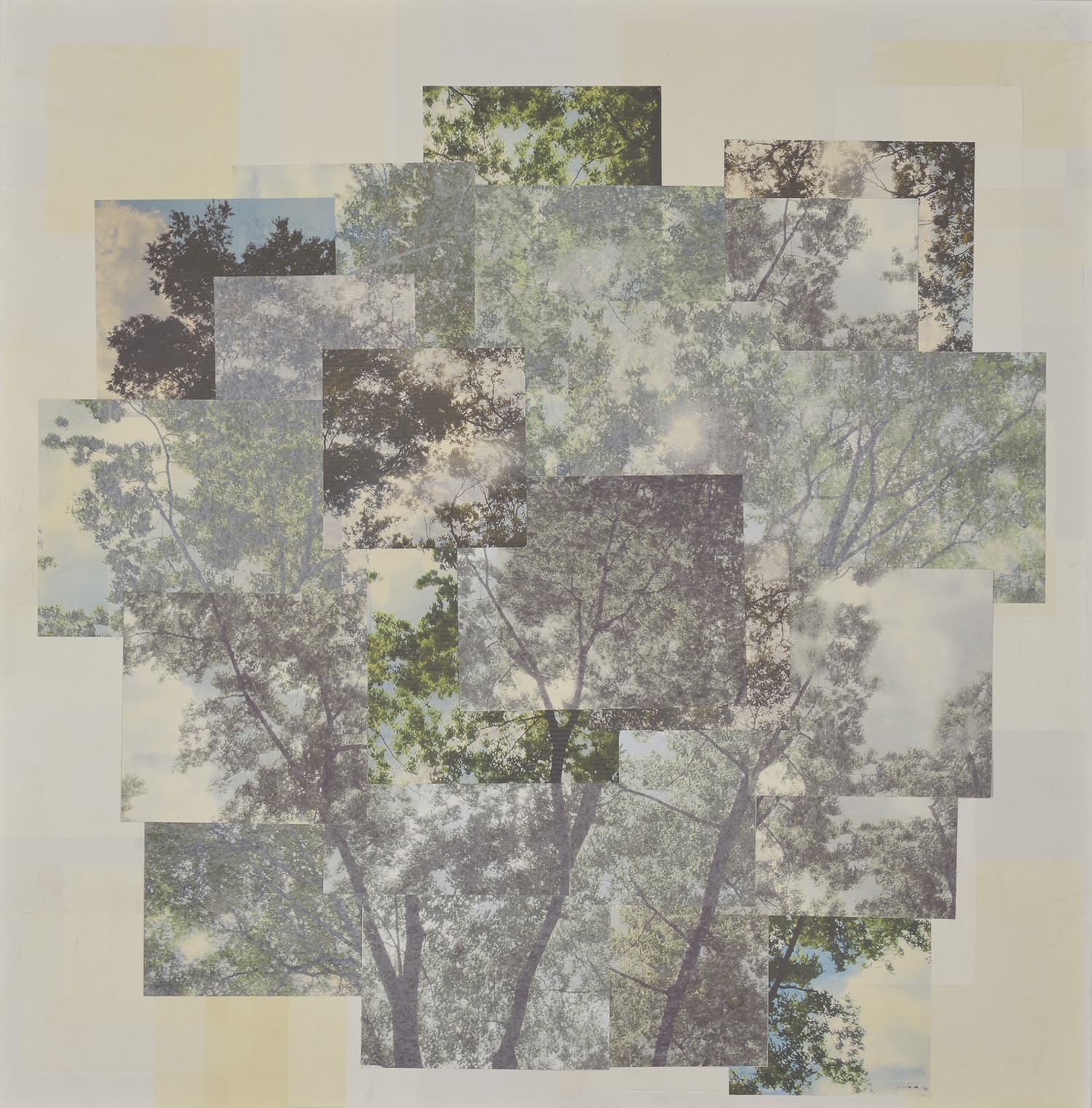 ambient