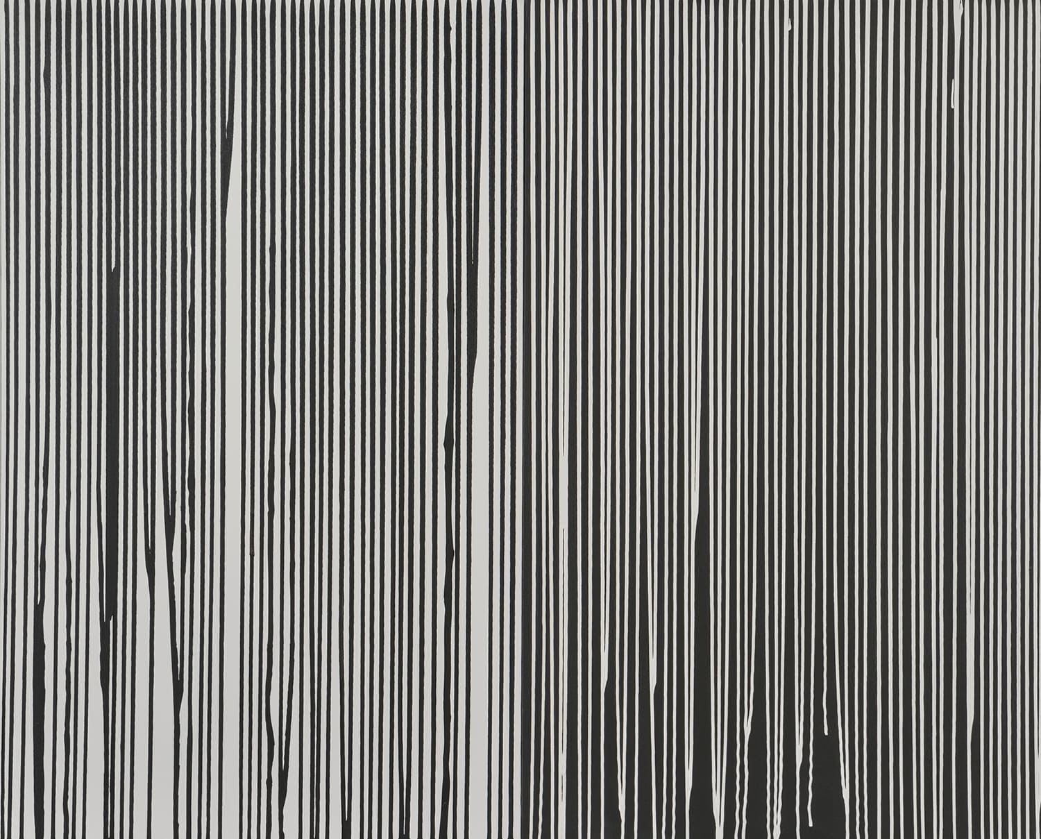 Black lines on the white White lines on the black