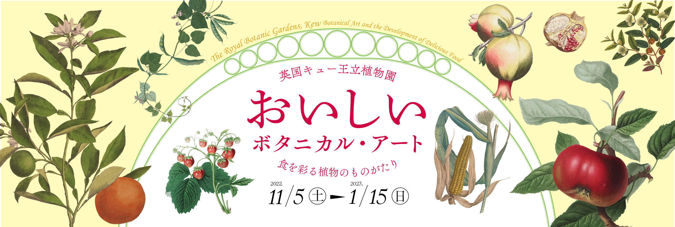 おいしいボタニカル・アート<br>食を彩る植物のものがたり