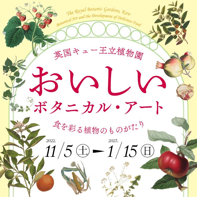 おいしいボタニカル・アート<br>食を彩る植物のものがたり