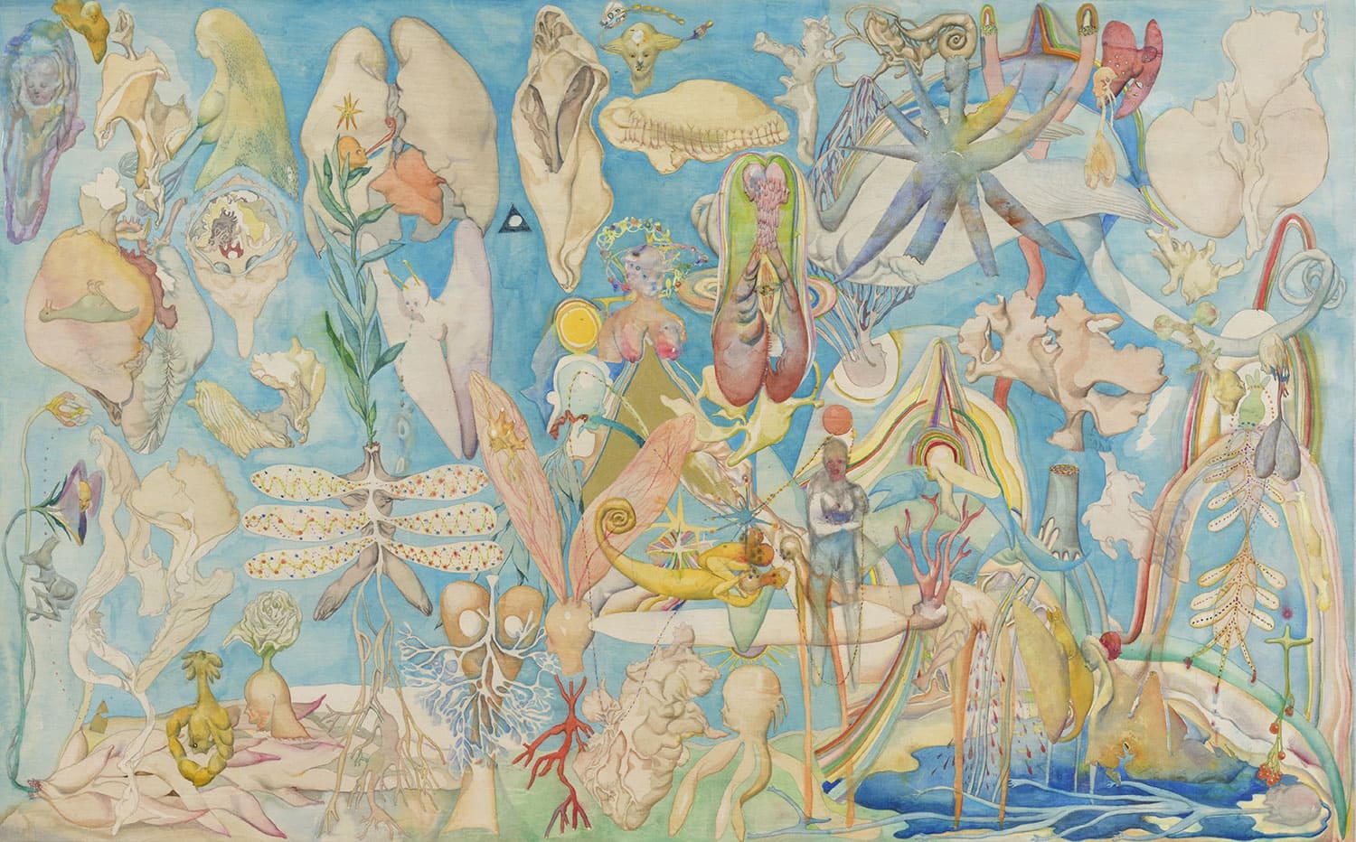 貝、もしくは内臓